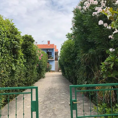 U S Bazenom Blizu Mora Plavi Apartamento *